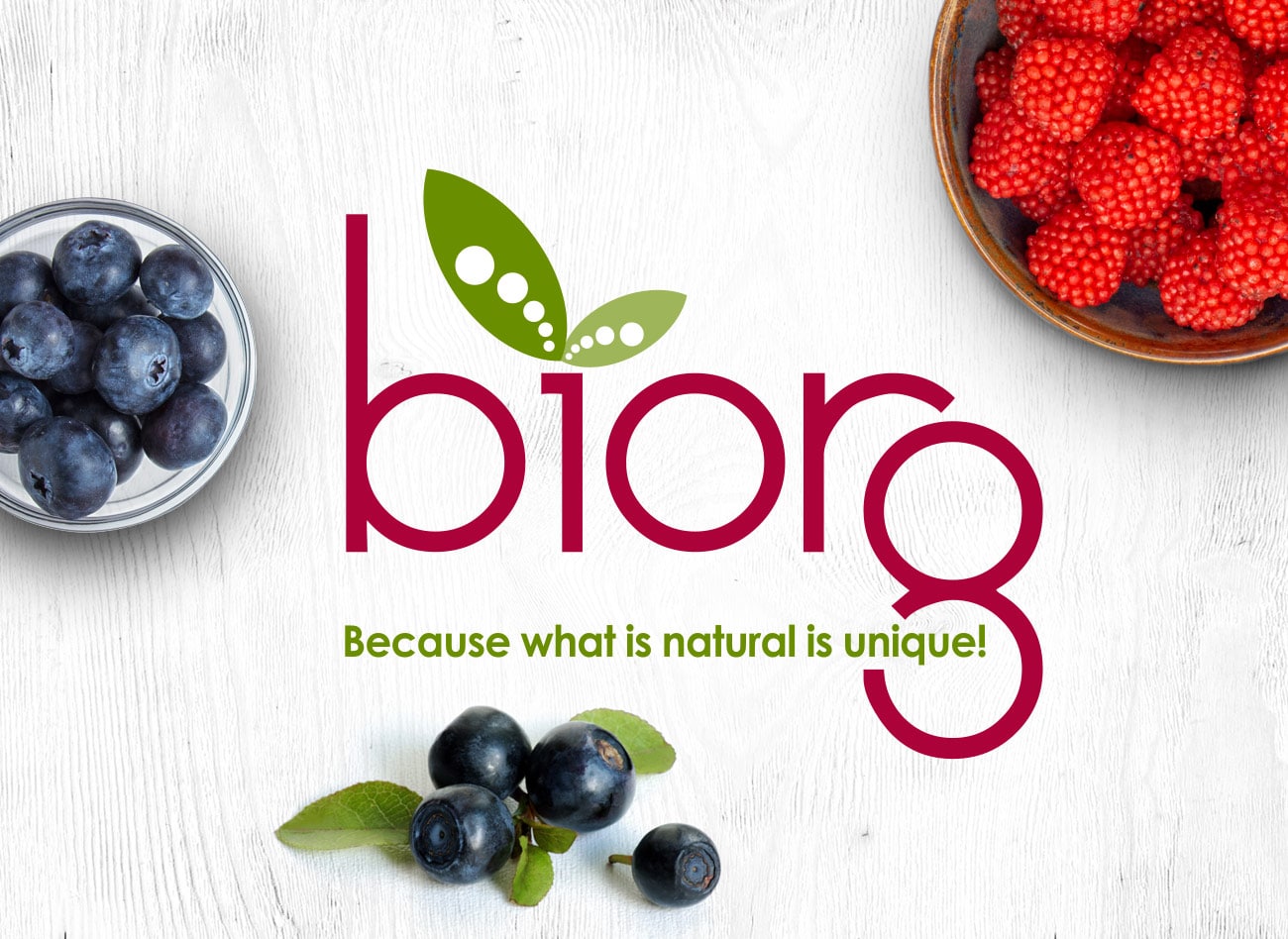 biorg-branding-logo-alimentacion