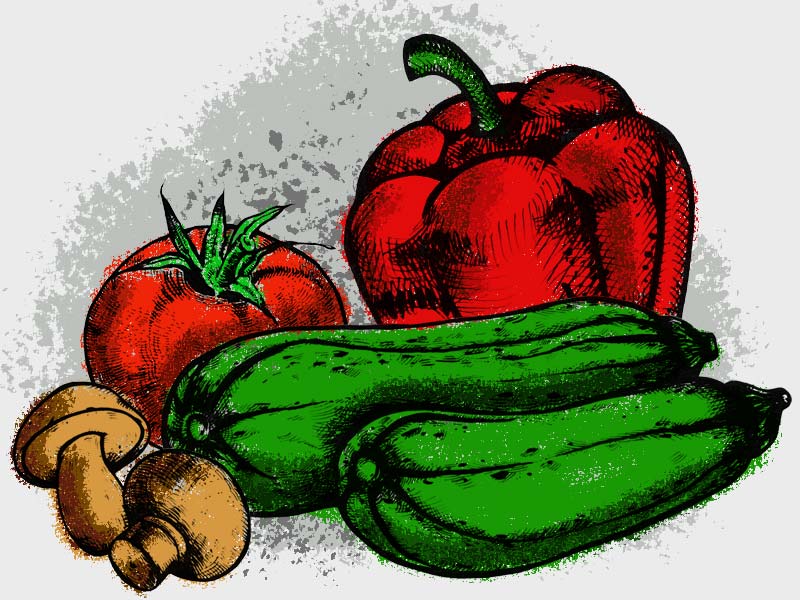 ilustración de pimientos, calabacín, tomate y setas